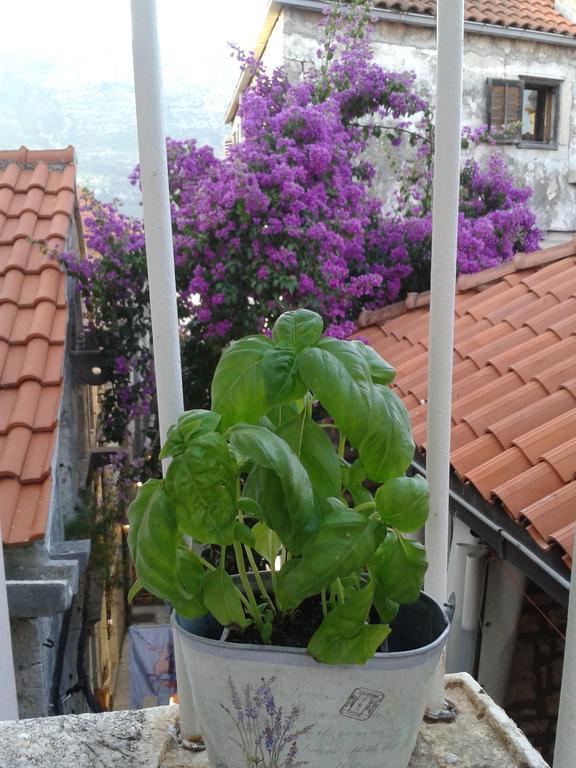 Apartments Milion Korčula Oda fotoğraf